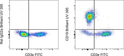 Invitrogen CD19 Monoclonal Antibody (eBio1D3 (1D3)), Brilliant Ultra Violet