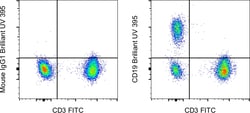 CD19 Monoclonal Antibody (HIB19), Brilliant Ultra Violet™ 395, eBioscience™, Invitrogen™
