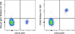 Invitrogen&trade;&nbsp;CD40 Monoclonal Antibody (5C3), Brilliant Ultra Violet&trade; 395, eBioscience&trade;