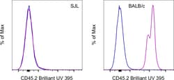 CD45.2 Monoclonal Antibody (104), Brilliant Ultra Violet 395, eBioscience