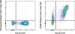 CD86 (B7-2) Monoclonal Antibody (GL1), Brilliant Ultra Violet 395, eBioscience