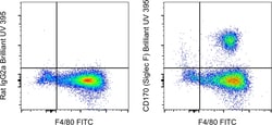 CD170 (Siglec F) Monoclonal Antibody (1RNM44N), Brilliant Ultra Violet