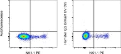 Invitrogen&trade;&nbsp;Syrian Hamster IgG Isotype Control, Brilliant Ultra Violet&trade; 395, eBioscience&trade;
