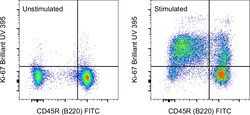 Ki-67 Monoclonal Antibody (SolA15), Brilliant Ultra Violet 395, eBioscience