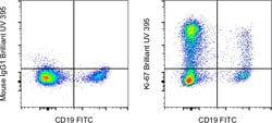 Ki-67 Monoclonal Antibody (20Raj1), Brilliant Ultra Violet 395, eBioscience