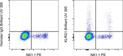 KLRG1 Monoclonal Antibody (2F1), Brilliant Ultra Violet 395, eBioscience