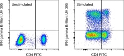 Invitrogen IFN gamma Monoclonal Antibody (4S.B3), Brilliant Ultra Violet