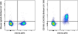 Invitrogen&trade;&nbsp;CD185 (CXCR5) Monoclonal Antibody (MU5UBEE), Brilliant Ultra Violet&trade; 395, eBioscience&trade;