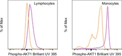 Invitrogen&trade;&nbsp;Phospho-AKT1 (Ser473) Monoclonal Antibody (SDRNR), Brilliant Ultra Violet&trade; 395, eBioscience&trade;