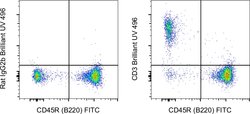 Invitrogen CD3 Monoclonal Antibody (17A2), Brilliant Ultra Violet 496,