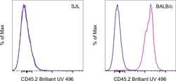 CD45.2 Monoclonal Antibody (104), Brilliant Ultra Violet 496, eBioscience