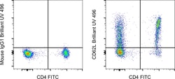 CD62L (L-Selectin) Monoclonal Antibody (DREG-56 (DREG56)), Brilliant Ultra