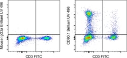 Invitrogen&trade;&nbsp;CD90.1 (Thy-1.1) Monoclonal Antibody (HIS51), Brilliant Ultra Violet&trade; 496, eBioscience&trade;