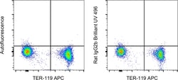 Invitrogen&trade;&nbsp;Rat IgG2b kappa Isotype Control (eB149/10H5), Brilliant Ultra Violet&trade; 496, eBioscience&trade;