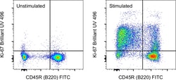 Invitrogen Ki-67 Monoclonal Antibody (SolA15), Brilliant Ultra Violet 496,