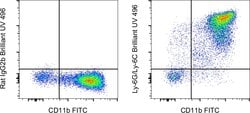 Ly-6G/Ly-6C Monoclonal Antibody (RB6-8C5), Brilliant Ultra Violet 496,