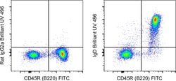 Invitrogen&trade;&nbsp;Mouse IgD Monoclonal Antibody (11-26c (11-26)), Brilliant Ultra Violet&trade; 496, eBioscience&trade;