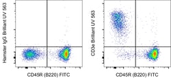 CD3e Monoclonal Antibody (145-2C11), Brilliant Ultra Violet&trade; 563, eBioscience&trade;, Invitrogen&trade;