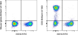 CD3 Monoclonal Antibody (OKT3), Brilliant Ultra Violet 563, eBioscience