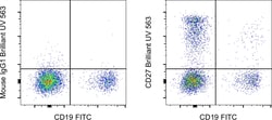 CD27 Monoclonal Antibody (O323), Brilliant Ultra Violet 563, eBioscience
