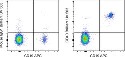Invitrogen&trade;&nbsp;CD40 Monoclonal Antibody (5C3), Brilliant Ultra Violet&trade; 563, eBioscience&trade;
