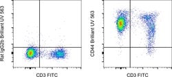 Invitrogen CD44 Monoclonal Antibody (IM7), Brilliant Ultra Violet 563,