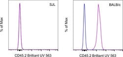 CD45.2 Monoclonal Antibody (104), Brilliant Ultra Violet 563, eBioscience