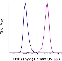 Invitrogen CD90 (Thy-1) Monoclonal Antibody (eBio5E10 (5E10)), Brilliant