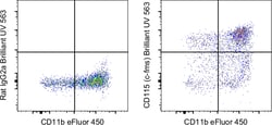 Invitrogen™ CD115 (c-fms) Monoclonal Antibody (AFS98), Brilliant Ultra Violet™ 563, eBioscience™