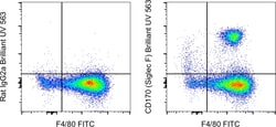 Invitrogen CD170 (Siglec F) Monoclonal Antibody (1RNM44N), Brilliant Ultra