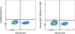 Invitrogen&trade;&nbsp;Mouse IgG1 kappa Isotype Control (P3.6.2.8.1), Brilliant Ultra Violet&trade; 563, eBioscience&trade;