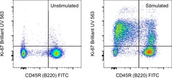 Invitrogen Ki-67 Monoclonal Antibody (SolA15), Brilliant Ultra Violet 563,