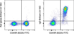 Invitrogen&trade;&nbsp;Mouse IgD Monoclonal Antibody (11-26c (11-26)), Brilliant Ultra Violet&trade; 563, eBioscience&trade;