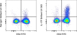 IL-17F Monoclonal Antibody (SHLR17), Brilliant Ultra Violet 563, eBioscience