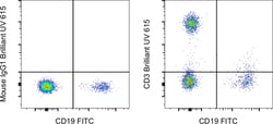CD3 Monoclonal Antibody (SK7), Brilliant Ultra Violet 615, eBioscience