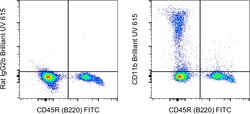 CD11b Monoclonal Antibody (M1/70), Brilliant Ultra Violet™ 615, eBioscience™, Invitrogen™
