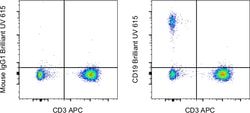 CD19 Monoclonal Antibody (SJ25C1), Brilliant Ultra Violet 615, eBioscience