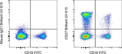 CD27 Monoclonal Antibody (O323), Brilliant Ultra Violet 615, eBioscience