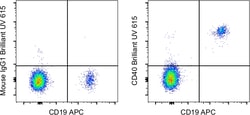 Invitrogen&trade;&nbsp;CD40 Monoclonal Antibody (5C3), Brilliant Ultra Violet&trade; 615, eBioscience&trade;