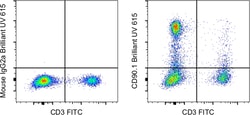 Invitrogen&trade;&nbsp;CD90.1 (Thy-1.1) Monoclonal Antibody (HIS51), Brilliant Ultra Violet&trade; 615, eBioscience&trade;