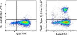 Invitrogen CD170 (Siglec F) Monoclonal Antibody (1RNM44N), Brilliant Ultra