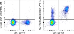 Invitrogen™ CD196 (CCR6) Monoclonal Antibody (R6H1), Brilliant Ultra Violet™ 615, eBioscience™