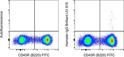 Invitrogen&trade;&nbsp;Armenian Hamster IgG Isotype Control (eBio299Arm), Brilliant Ultra Violet&trade; 615, eBioscience&trade;