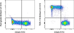 TER-119 Monoclonal Antibody (TER-119), Brilliant Ultra Violet 615, eBioscience