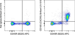 Invitrogen CD185 (CXCR5) Monoclonal Antibody (SPRCL5), Brilliant Ultra