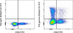 Invitrogen IFN gamma Monoclonal Antibody (XMG1.2), Brilliant Ultra Violet