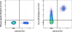 Invitrogen HLA-DR Monoclonal Antibody (LN3), Brilliant Ultra Violet 615,