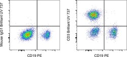 CD3 Monoclonal Antibody (UCHT1), Brilliant Ultra Violet 737, eBioscience