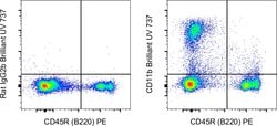 CD11b Monoclonal Antibody (M1/70), Brilliant Ultra Violet 737, eBioscience