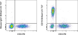 CD19 Monoclonal Antibody (SJ25C1), Brilliant Ultra Violet 737, eBioscience